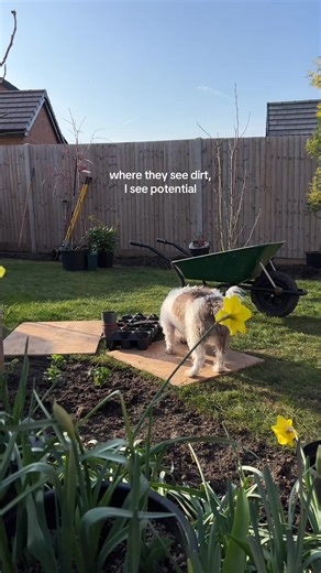 yessss new build gardens are overwhelming, but that dirt patch has SO much potential. #newbuildgarden #gardentransformation