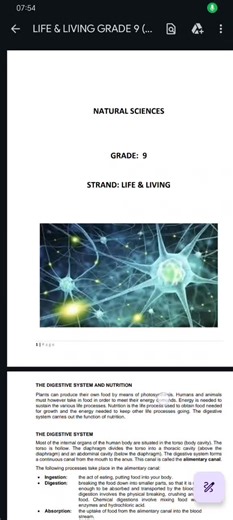 Understanding Natural Sciences in Grade 9
