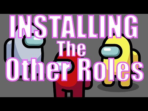 Installing the other roles mod explained for Steam & Epic Games