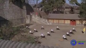 50K views · 1.4K reactions | Jet Li training scene with the Shaolin Staff also called Bo staff #kungfuweapons #shaolin Movie title: Martial Arts from Shaolin | I Love Wing Chun | Facebook