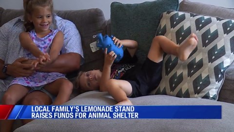 Lemonade stand raises money for local animal shelters