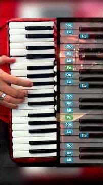 "Open Letter" TUTORIAL on Key Accordion #openletter #thetigersofthenorth #keyaccordion