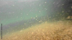 The camera travels through a pool at a fish hatchery.