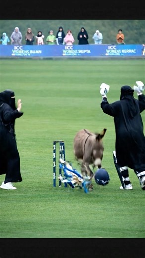 Donkey 🫏 ne sab khtam kar diya 🫣 #cricket #cricketacadmey #cricketaddict