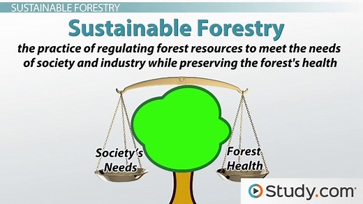 Environmental Sustainability | Definition, Objectives & Examples