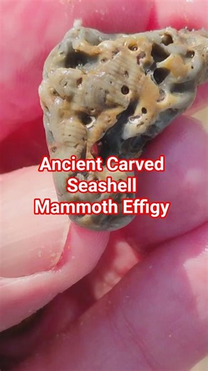 #carved #mammoth #seashell #horse #faces #portablerockart #rockhounding #ancient #rockart #carved