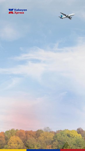 14 shares | OFW Travel Pass na ang bagong OEC, Kabayan! Panoorin kung paano makakuha nito sa pinakamadali at mabilis na paraan. | Lexcode Inc. | Facebook