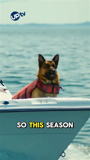 70K views · 3.4K reactions | All paws on deck!  Executive Producer and Dog Master, Sherri Davis, takes us behind the scenes of Rex’s incredible boat stunt on #HudsonAndRex. #NationalDogDay is next week — what’s the coolest trick your dog can do? ✨ #DogTraining | #K9 | #BehindTheScenes | UPtv | Facebook