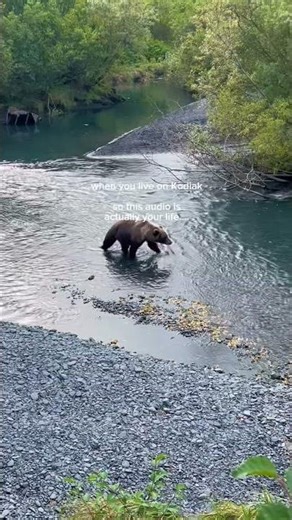 Living on the Edge of Alaska Is Actually My Life…