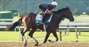 Free Belmont Stakes Picks & Predictions 2024 -  156th Run for the Carnations at Saratoga Race Course