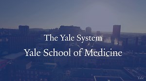 What Is The Yale System?