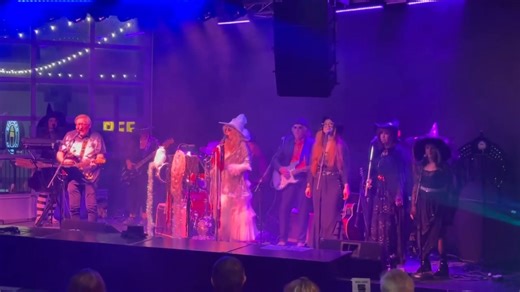 The HUB STADIUM Novi. | Michigan’s Stevie Nicks Experience