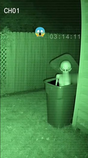 “Night Vision CCTV Captures Creepy Creature in Backyard 👀”