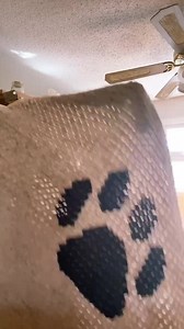 Crochet Pawsome Throw Pattern, Crochet Dog Blanket Pattern, Crochet C2C Pattern, C2C Dog Pattern, Crochet Paw Pattern, Instant PDF Download - Etsy