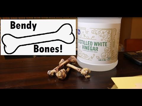 Bendy Bones!