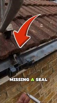 Why are all the seals missing!? 😳