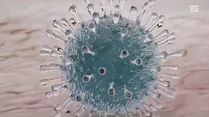 924K views · 11K reactions | Go Corona.. Corona Go.. repeat. | Goa Party Lovers | Facebook