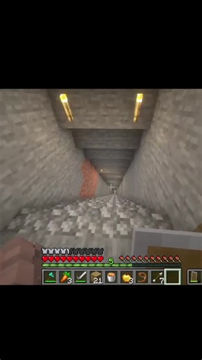 Warden in Minecraft - RIP XD