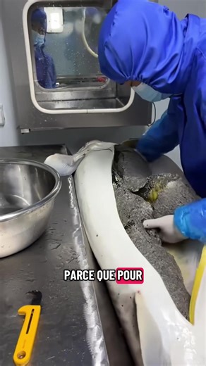 Il est devenu riche en quelques minutes... #animaux #esturgeon