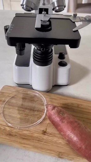 54K views · 1.4K reactions | https://tech.loloapps.co/explain-check-results/ | الدكتور أحمد أشرف Dr Ahmed Ashraf | Facebook