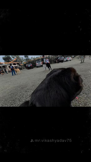 2.6K views · 82 reactions | Doc Nicer on Reels | Facebook