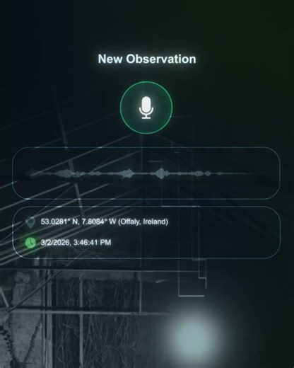 PRN SaaS Application Promotional Video Production Example for Android & iOS App Store | LiveUP Media