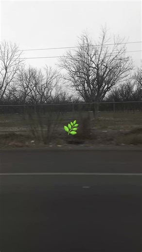 Videos de Elliot rodger (@elliot.rodger5) con “青空 (Blue Sky) - rukiawaa”