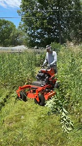 790K views · 20K reactions | TOWERING 7-foot grass is SWALLOWING this house whole – NO ONE had a CLUE what to do #mowing #edging #cleanup #asmr #satisfying #sbmowing #cleaning #overgrownyard #fyp #fypシ #viral #viralvideo #transformation #overgrown #maruyama #badboymower #muckboots | SB Mowing | Facebook