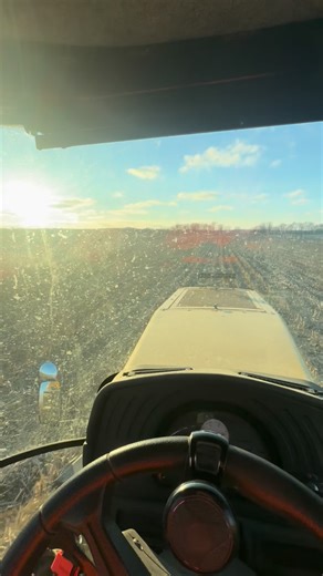 Happy new year from Hartung family farms! #hffarms #wheat26 | Hartung Family Farms