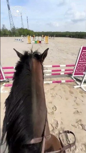he Insane World Record of Show Jumping! 🐎✈️ #shorts
