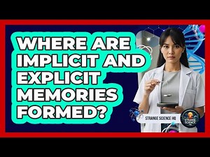 Where Are Implicit And Explicit Memories Formed?