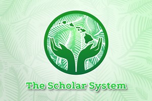 The Scholar System