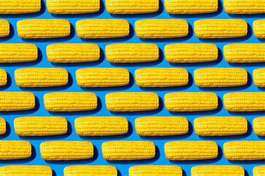 The biggest myth about processed food, debunked by science | BBC Science Focus Magazine