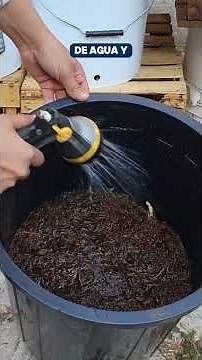 How to make COMPOST at home/step by step🌱🤎