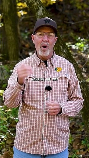 Line of Scrapes Strategy