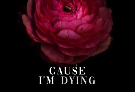 One thing. #lyrics #fyp #foryoupage