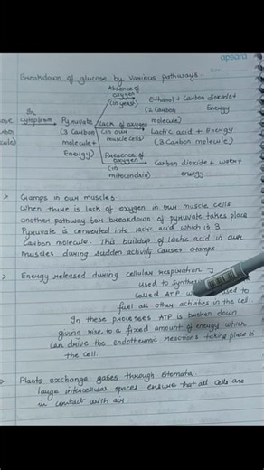 Energy Released during Cellular Respiration / Life Processes Class 10 Science notes