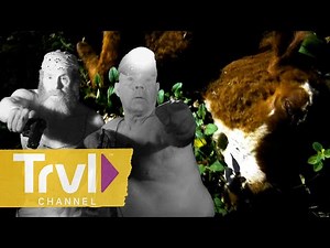 Smoke Wolf Rips Calf to Pieces | Mountain Monsters | Travel Channel