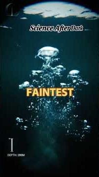 Why the Deep Ocean Rewards the Strangest Creatures on Earth #alienlife #deepsea #lifeindarkness