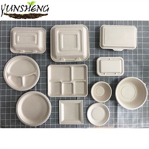 [Hot Item] Biodegradable Disposable Dinnerware Paper Takeaway Containers