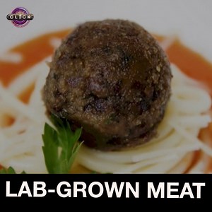 148K views · 58 reactions | Is lab-grown meat the food of the future? | BBC Click | Facebook