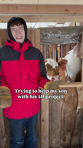 Trying to Help My Son with His 4H Project.