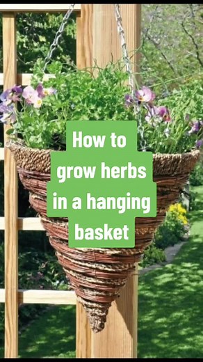 Kitchen Garden Magazine on TikTok