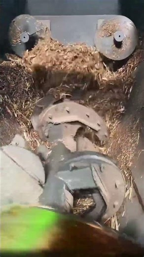 Total Mixed Ration (TMR) Mixer Working Demo | Complete Feeding Solution