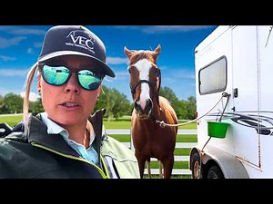 How To Load A Difficult Horse Onto A Trailer | Part 2!