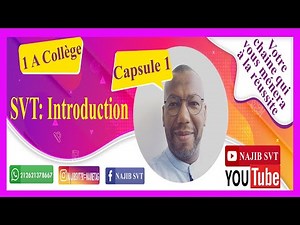 SVT introduction