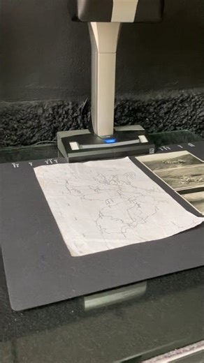 COMPROVAÇÃO DAS AÇÕES REALIZADAS Prestação de Contas (Lei nº 13.019/2014 | Nova Lima/MG)