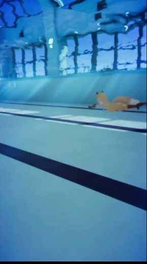 Cute Furry Foxgirl swims Underwater