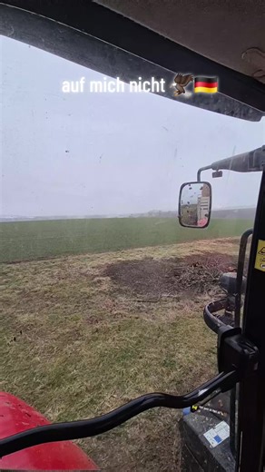 Exploring German Cultural Symbols: The Eagle 🇩🇪