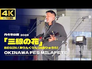 【4K】「三線の花」BEGIN - ありんくりん (比嘉りゅうた) ライブ よしもと沖縄【OKINAWA FES Milafete 2026】 沖縄フェス 代々木公園 カバー